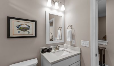 Guest Bath Room Sink